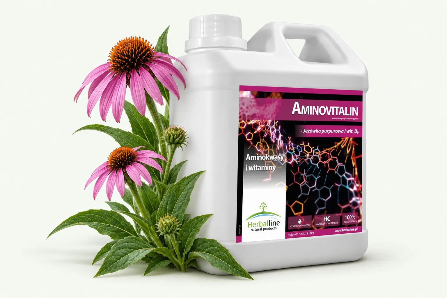 Aminovitalin — Jeżówka