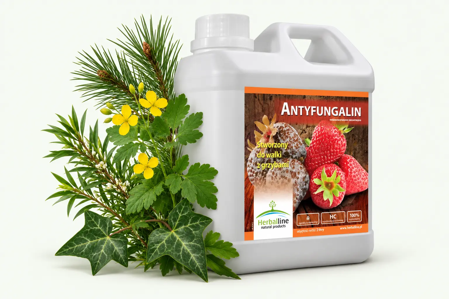 Antyfungalin — Glistnik · Sosna · Drzewo herbaciane · Bluszcz