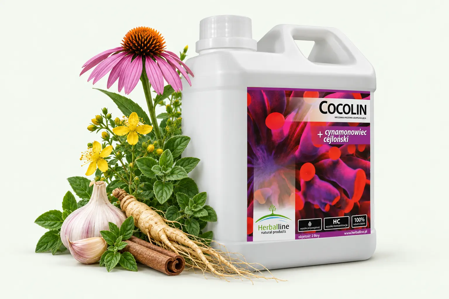 Cocolin — Czosnek · Jeżówka · Dziurawiec · Żeń-szeń · Cynamon · Oregano