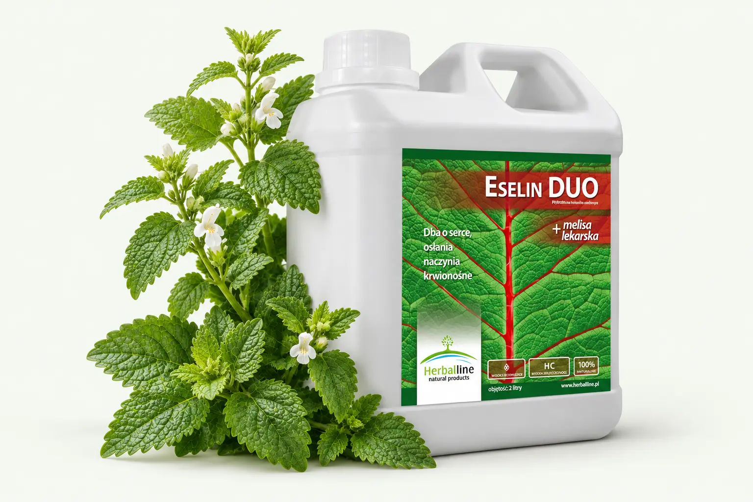 Eselin DUO — Melisa