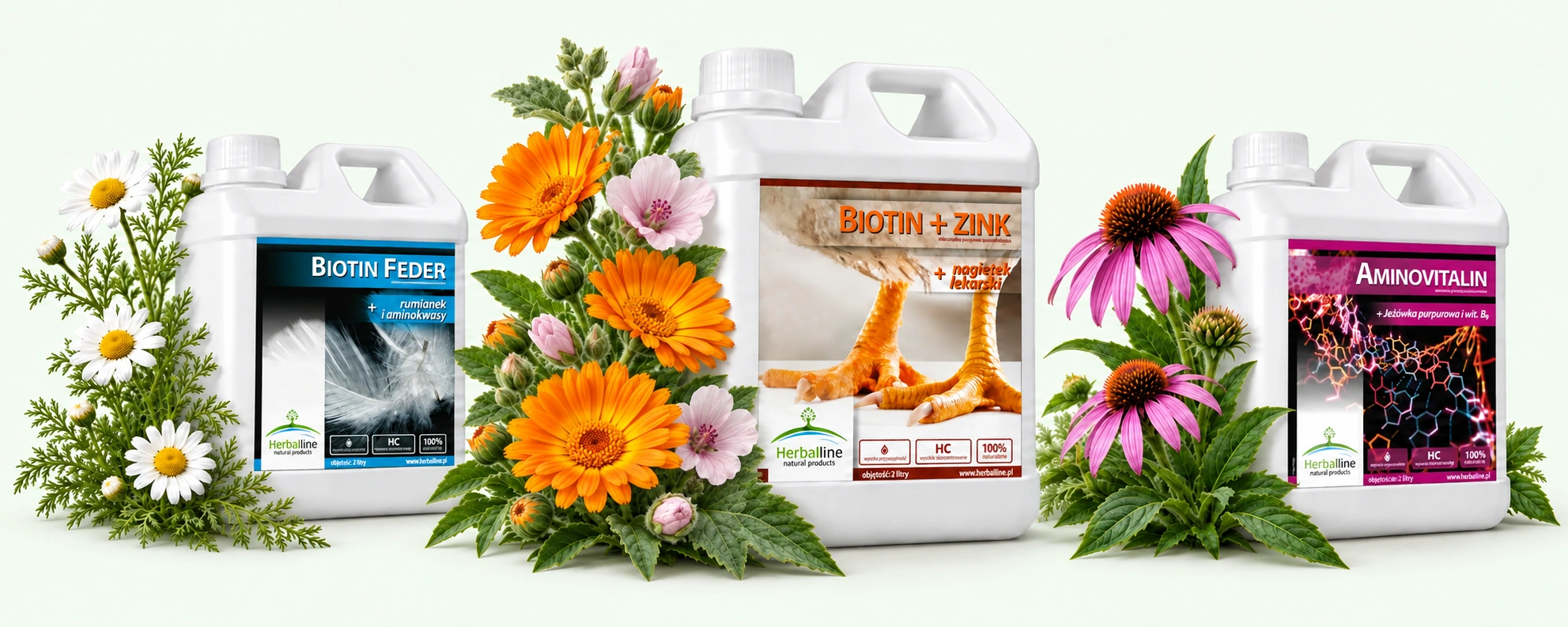 Biotin Feder · Biotin + Zink · Aminovitalin — kompozycja ziół i produktów Herbal Line