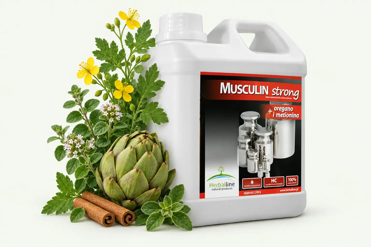 Musculin Strong — Karczoch · Oregano · Cynamon · Glistnik