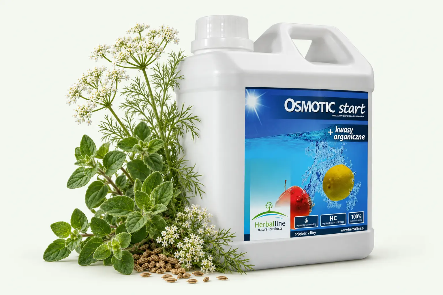 Osmotic Start — Anyż · Oregano