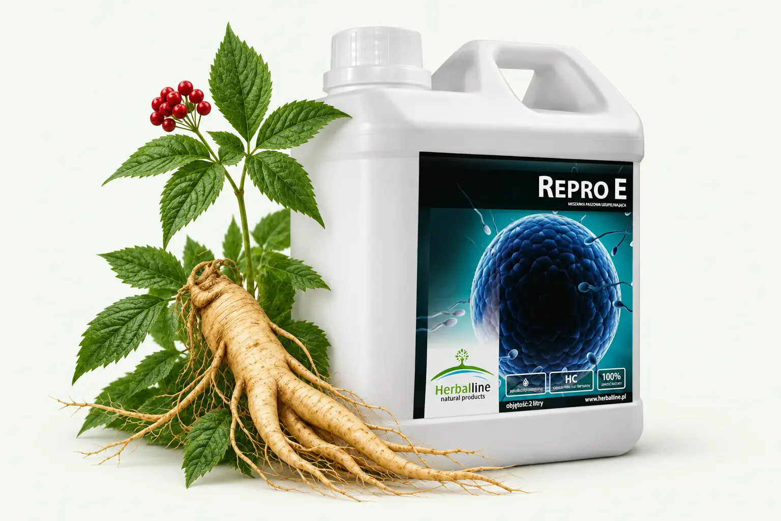 Repro E — Żeń-szeń